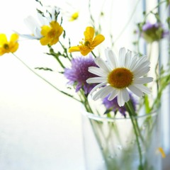 first love - Joe Hisaishi