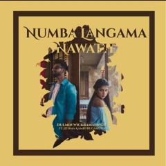 Nuba Lagama Nawathe | Dulmin Wickramasinghe [Official Audio]