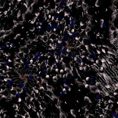 Cardumen [Marianne Teixido + Emilio Ocelotl]