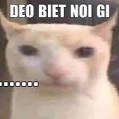 Playlist Thái Hoàng x S.Lex 2023 - Not Vink Mix