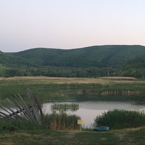 Landscape