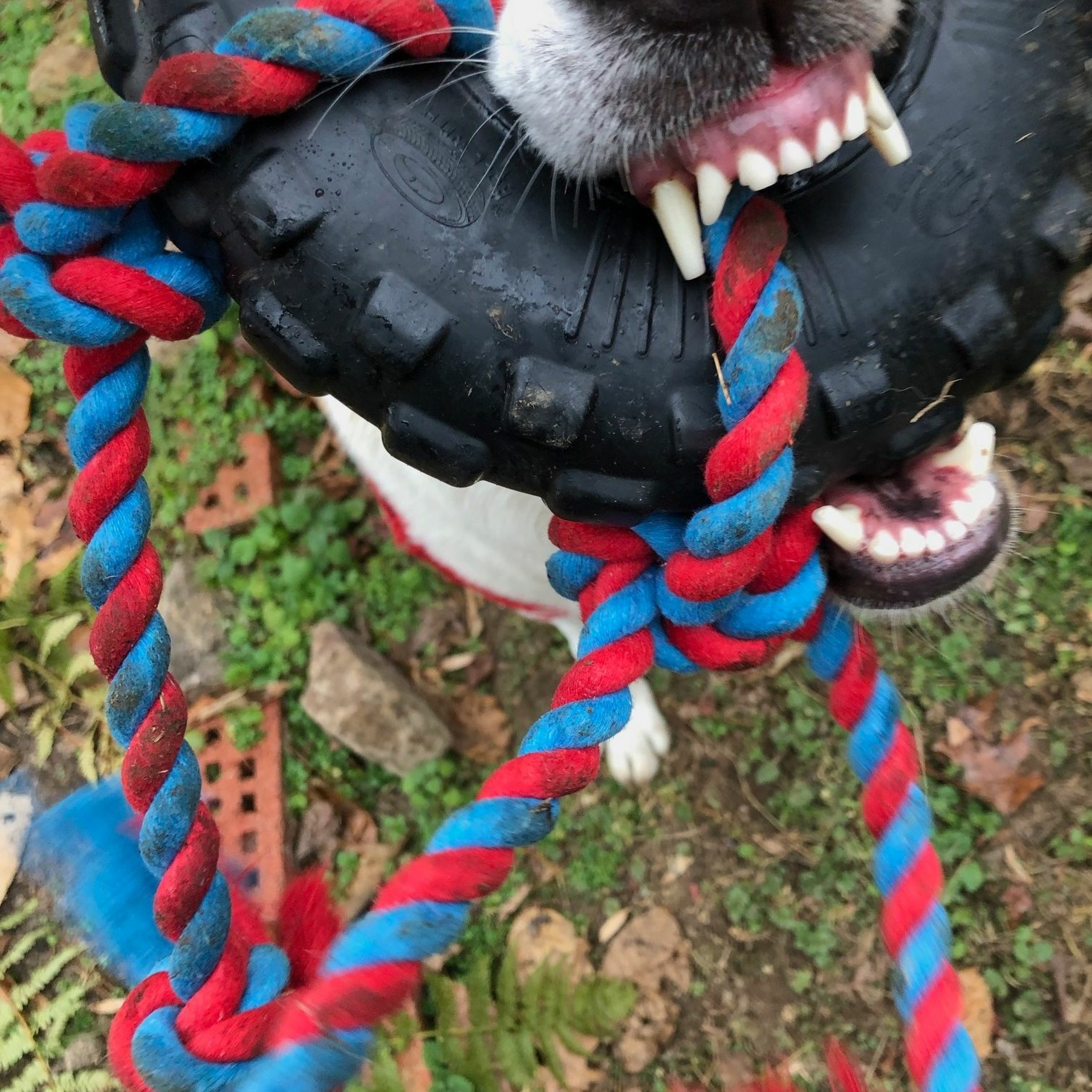 All Torn Up And Shredded