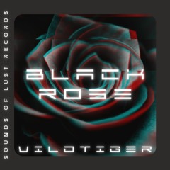 VILDTIGER - BLACK ROSE (Sounds of Lust Records) (PREMIERE)