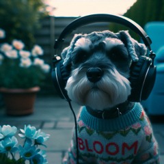 Bloom