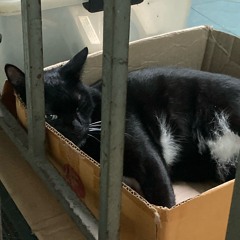 ปริมาณคับกล่อง demo/improvised