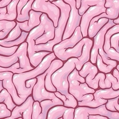 brain