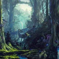 Jungle