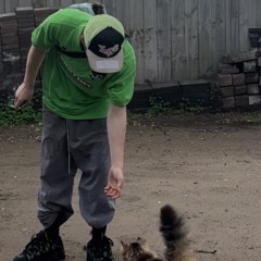 amneals (saschashby)