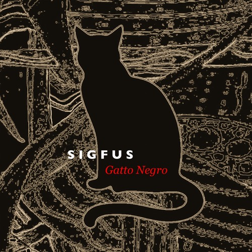 Gatto Negro