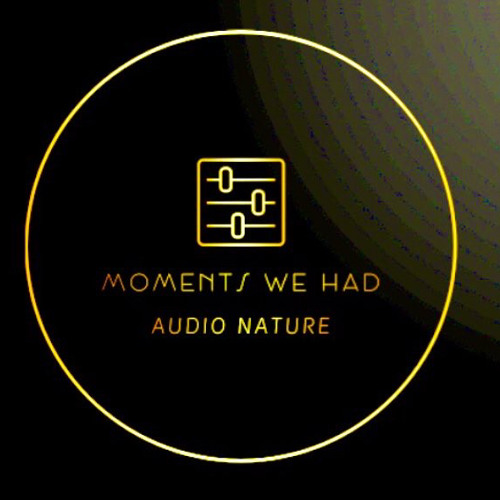 Frozen (Madonna) - Moments We Had  Remix