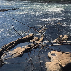 Steel Drum by the Stream