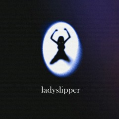 Ladyslipper