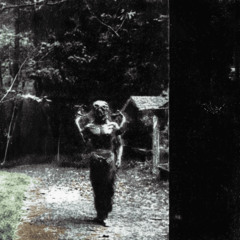 comfort fictions - CULT TAPE 002 - SELECTED AMBIENT WORKS