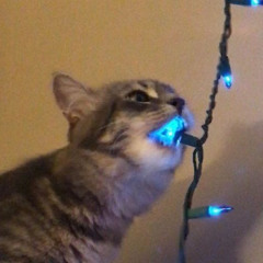 anubis (prod. luvxomea, toker)