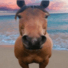 thank you for calling my horse