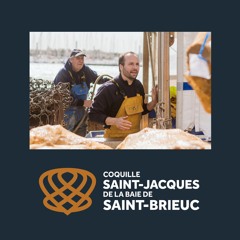 Rencontre avec Vincent Cadren, pêcheur de Saint-Jacques en baie de Saint-Brieuc