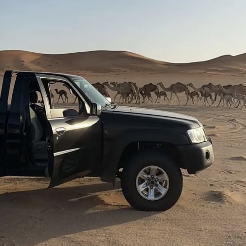 ضعنا وبالغرب يحبابي تدرون ٌ