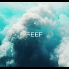R3DN1K - Reef