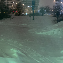 ronce teeth reworks (asmr elegance)