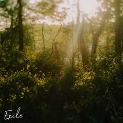 Exile (Piano Version)