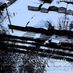 естественный отбор