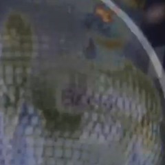 Zoveel (RAP NL) MCSON