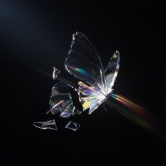 Skrillex, Starrah & Four Tet - Butterflies (Fierce Firefly Remix)