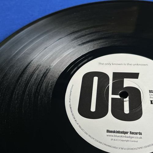 BSBRDSM005 - Unknown Artist - Real World - PREVIEW CLIPS