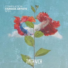 Haptik - Circles - Organica Records - VA Compilation N°01