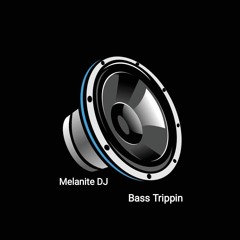 Bass Trippin