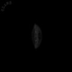 Clams - P-NUT BUTTER irony