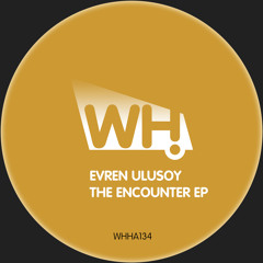 The Encounter (Sous Sol Remix)