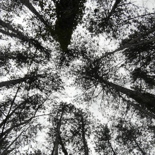 DJ-SET : World & Trance Deep / MAGUA80 ( Mattia Guagneli ) , 11-2023