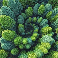 SORRY RACH! - Stormzy, Lonan (Bootleg)