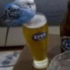 Taklaya geld8k hacı ya