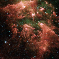 Paternalis Diurnalis