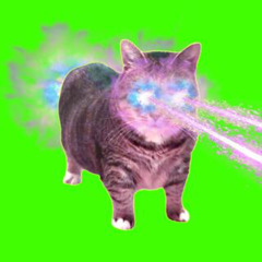 oiia vs. 개나리공원