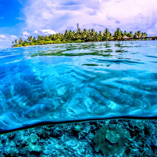 Sitting Under The Sea (Slight Return)