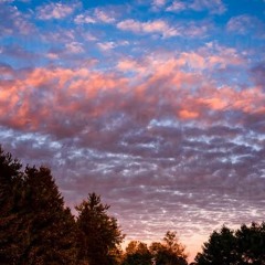 Caleb Kelley - Heartless Woman (Official Audio)