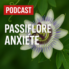 Passiflore : Bienfaits, utilisations et effets secondaires | Podcast