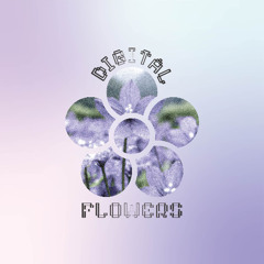 Flowers in A