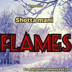 Flames_ft_Shotta Mani_Prod.by Dash Fyah Turf Studios_Where di money Riddim.mp3