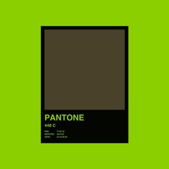 Charlie XCX - 365 (PANTONE 448C UKG Bootleg)