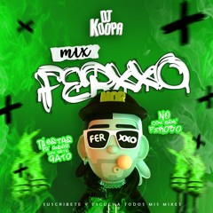DJ KOOPA - MIX FERXXO (Si Te Encuentras Por Ahi, Normal, Castigo, Feliz Cumpleaños, Pantysito)