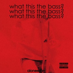what this the bass?