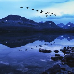 Reflections on Released Ministry at West Hills Friends by Klarissa Oh