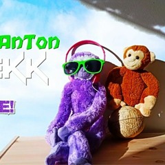 ZEMTEKK feat AnTon - Affenbande