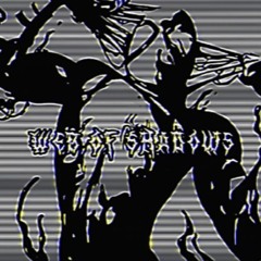 Web Of Shadows