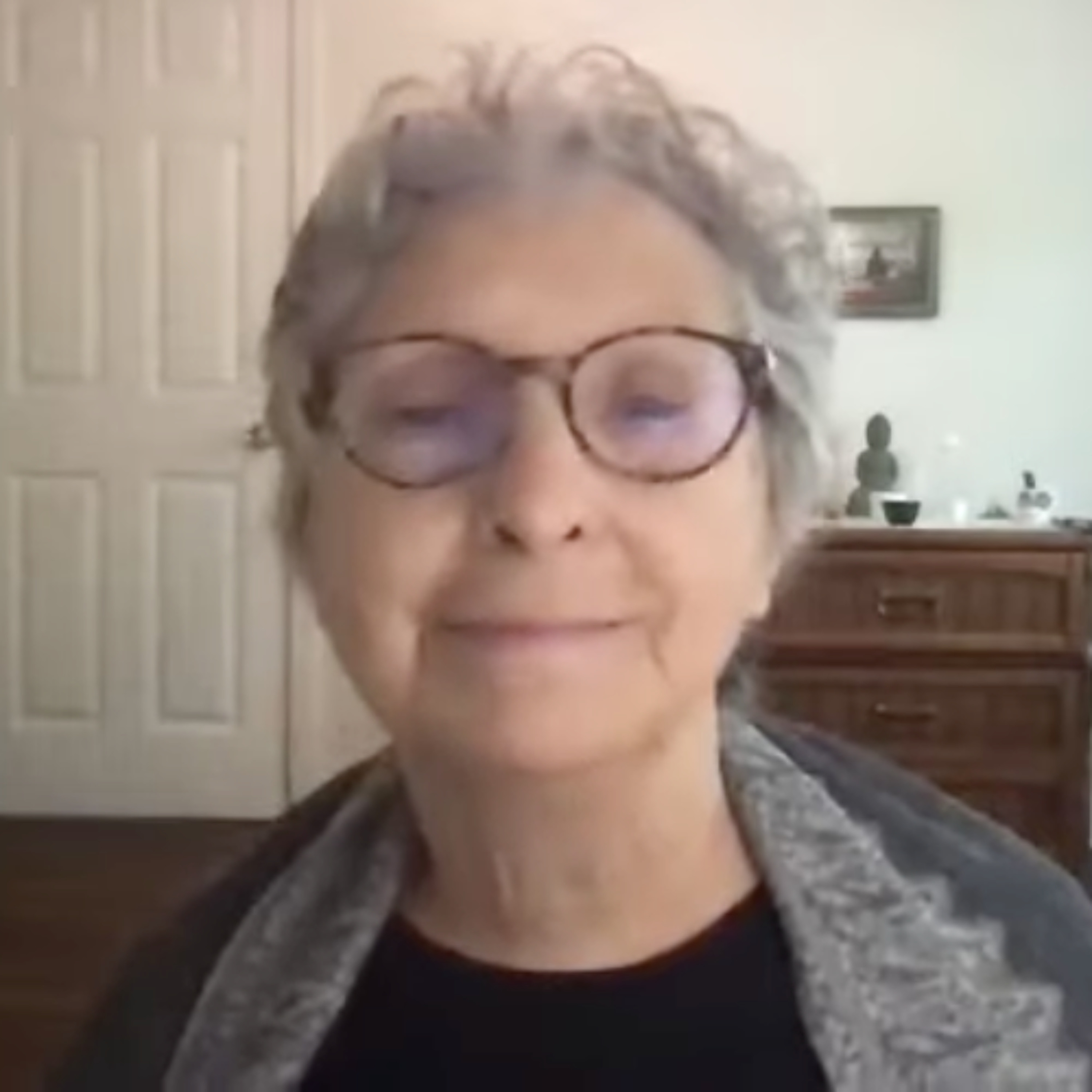2025-06-08 | Dharma Talk | Living the Paramitas in Troubled Times | Ellen Hippard episode artwork