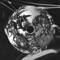 FLŸ - SLONE (prod. by z3nnyq)